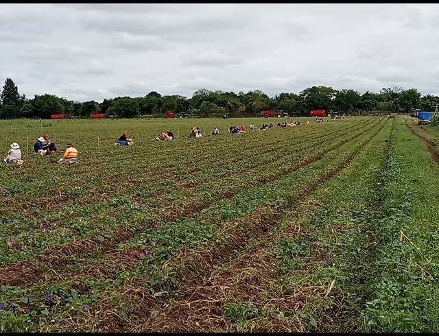12HA FARM FOR SALE IN WEENEN